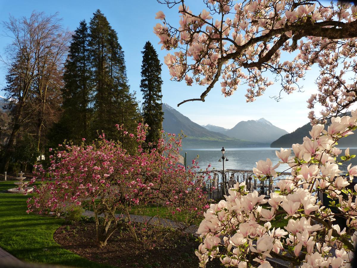 Hotel Vitznauerhof - Lifestyle Hideaway At Lake Lucerne Room photo